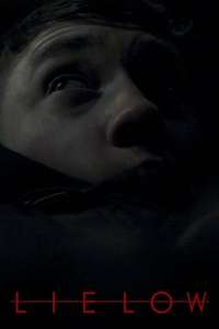 Lie Low - Poster