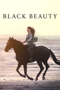 Black Beauty - Posters