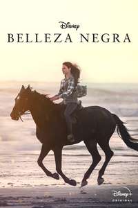 Black Beauty - Posters
