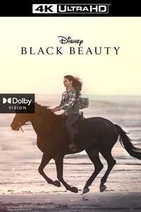 Black Beauty - Posters