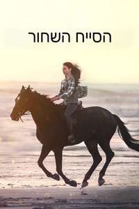 Black Beauty - Posters