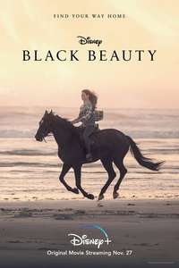 Black Beauty - Posters