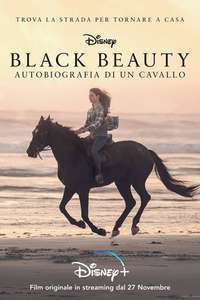 Black Beauty - Posters