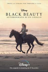 Black Beauty - Posters