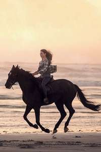 Black Beauty - Posters
