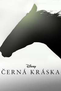 Black Beauty - Posters