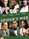 Spider's Web