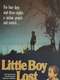 Little Boy Lost