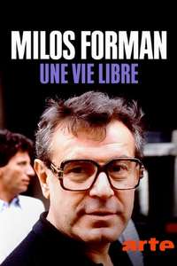 Forman vs. Forman - Poster