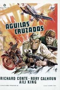 Operation Cross Eagles - Poster