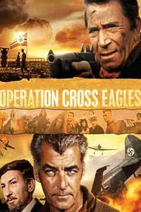Operation Cross Eagles - Poster