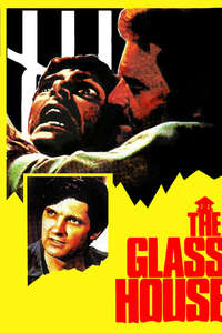 The Glass House - Posters