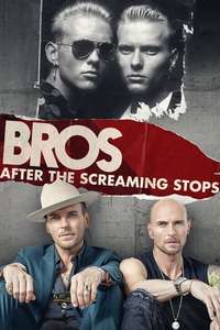 After the Screaming Stops - Poster