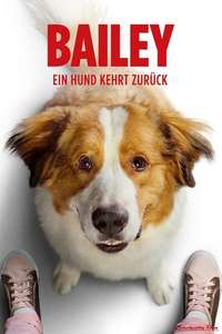A Dog's Journey - Poster