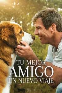 A Dog's Journey - Poster