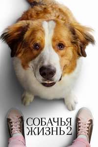 A Dog's Journey - Poster