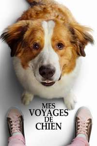 A Dog's Journey - Poster