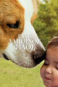 A Dog's Journey - Poster