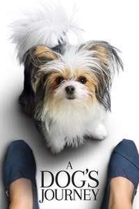 A Dog's Journey - Poster