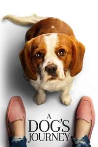 A Dog's Journey - Poster
