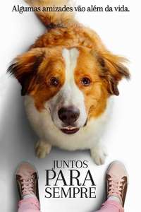 A Dog's Journey - Poster