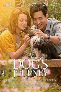 A Dog's Journey - Poster