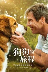 A Dog's Journey - Poster