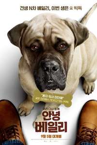 A Dog's Journey - Poster
