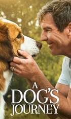 A Dog's Journey