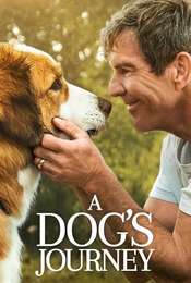 A Dog's Journey