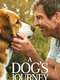A Dog's Journey