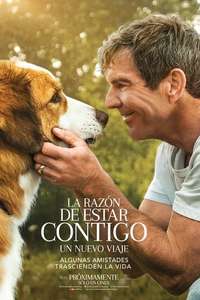 A Dog's Journey - Poster