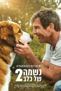 A Dog's Journey - Poster