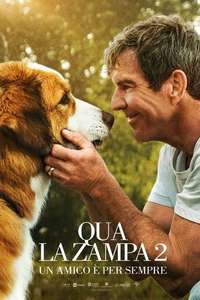 A Dog's Journey - Poster