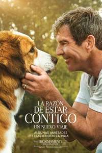 A Dog's Journey - Poster