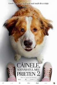 A Dog's Journey - Poster
