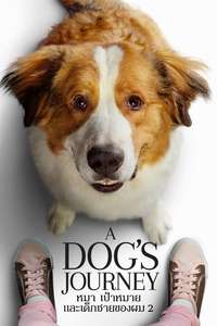 A Dog's Journey - Poster