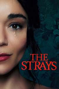 The Strays - Poster
