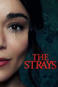 The Strays - Poster
