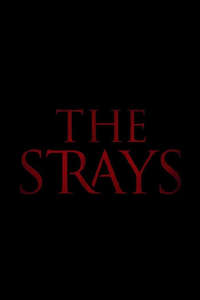 The Strays - Poster