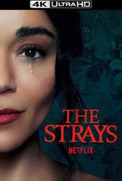 The Strays