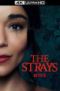 The Strays - Poster