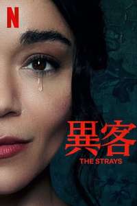 The Strays - Poster
