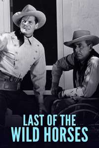 Last of the Wild Horses - Posters
