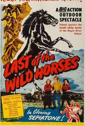 Last of the Wild Horses