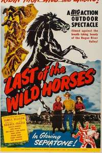 Last of the Wild Horses - Posters