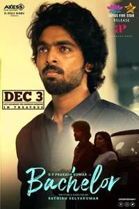 Bachelor - Poster
