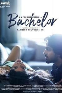 Bachelor - Poster