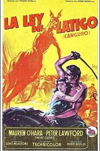 Kangaroo - Posters