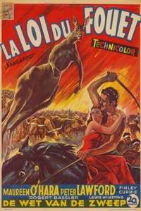 Kangaroo - Posters